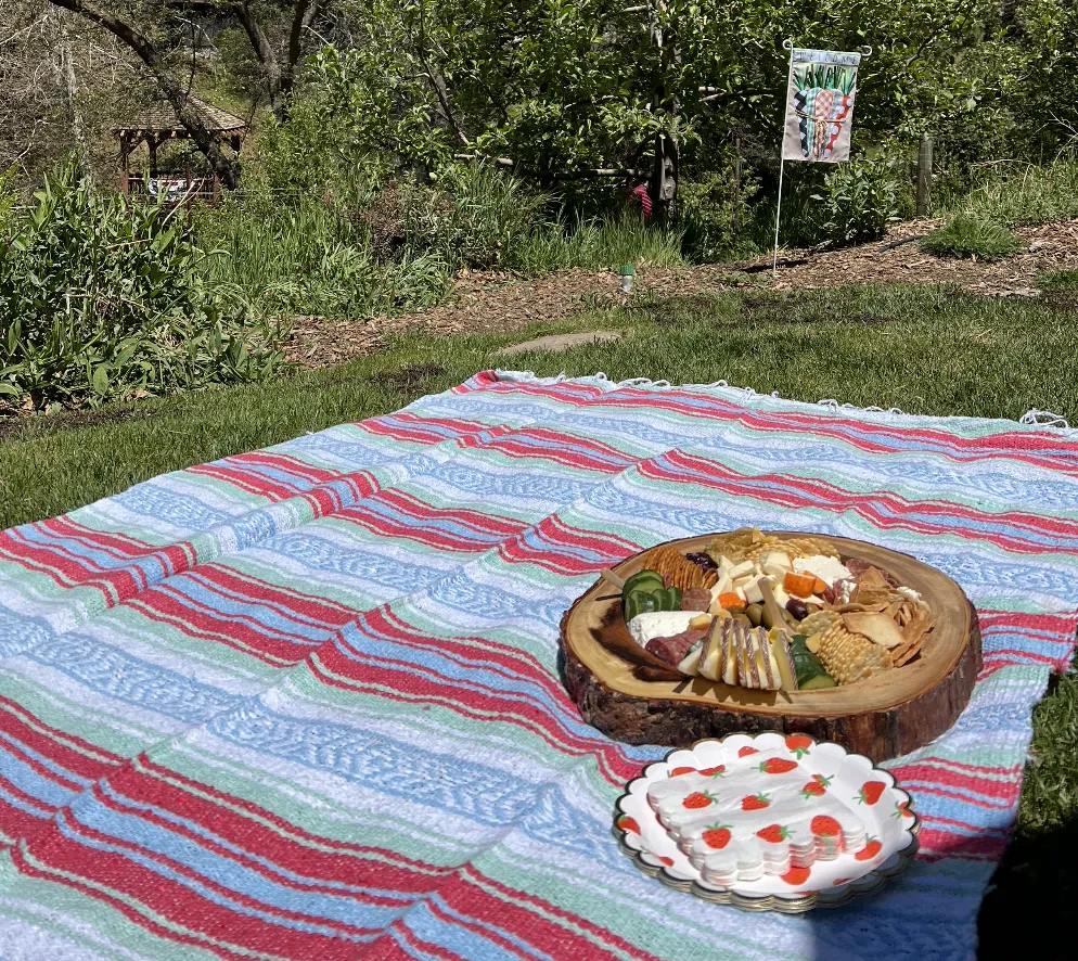 BAJA BLANKET w/embroidered arrowhead:  multiple colors to choose from!