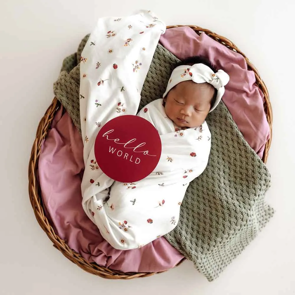 Ladybug Jersey Wrap Birth Announcement Set