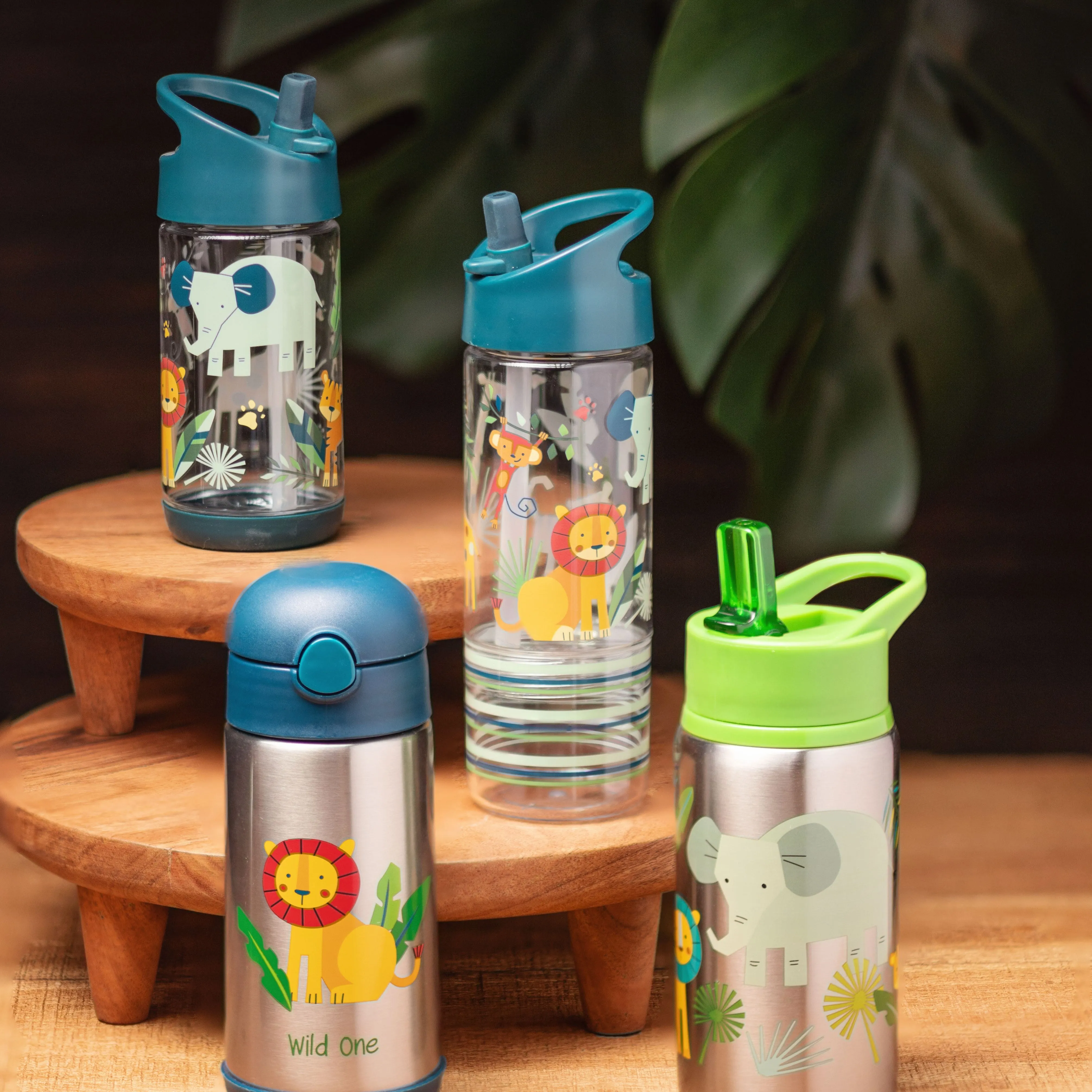 Sip And Snack Zoo