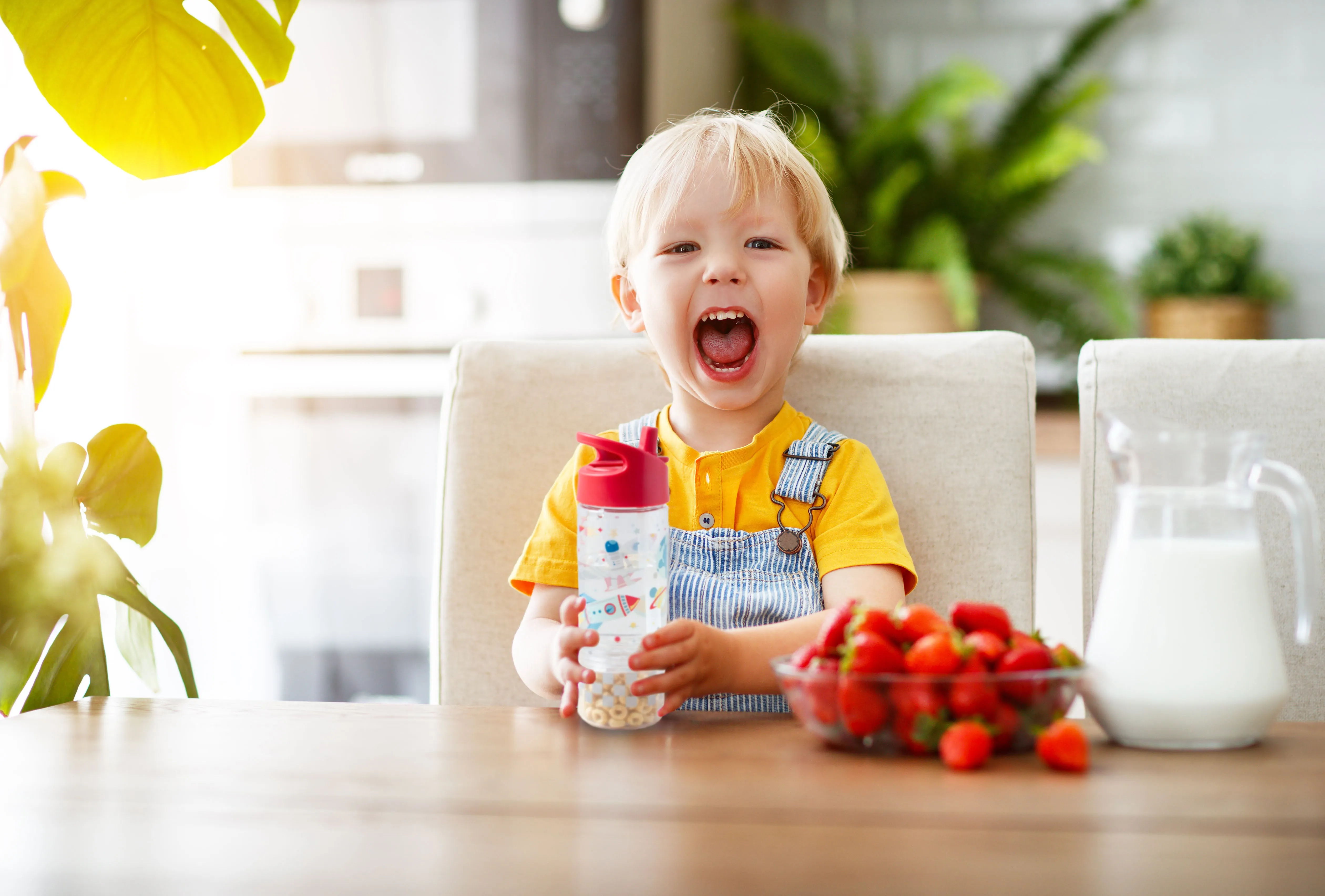Sip And Snack Zoo